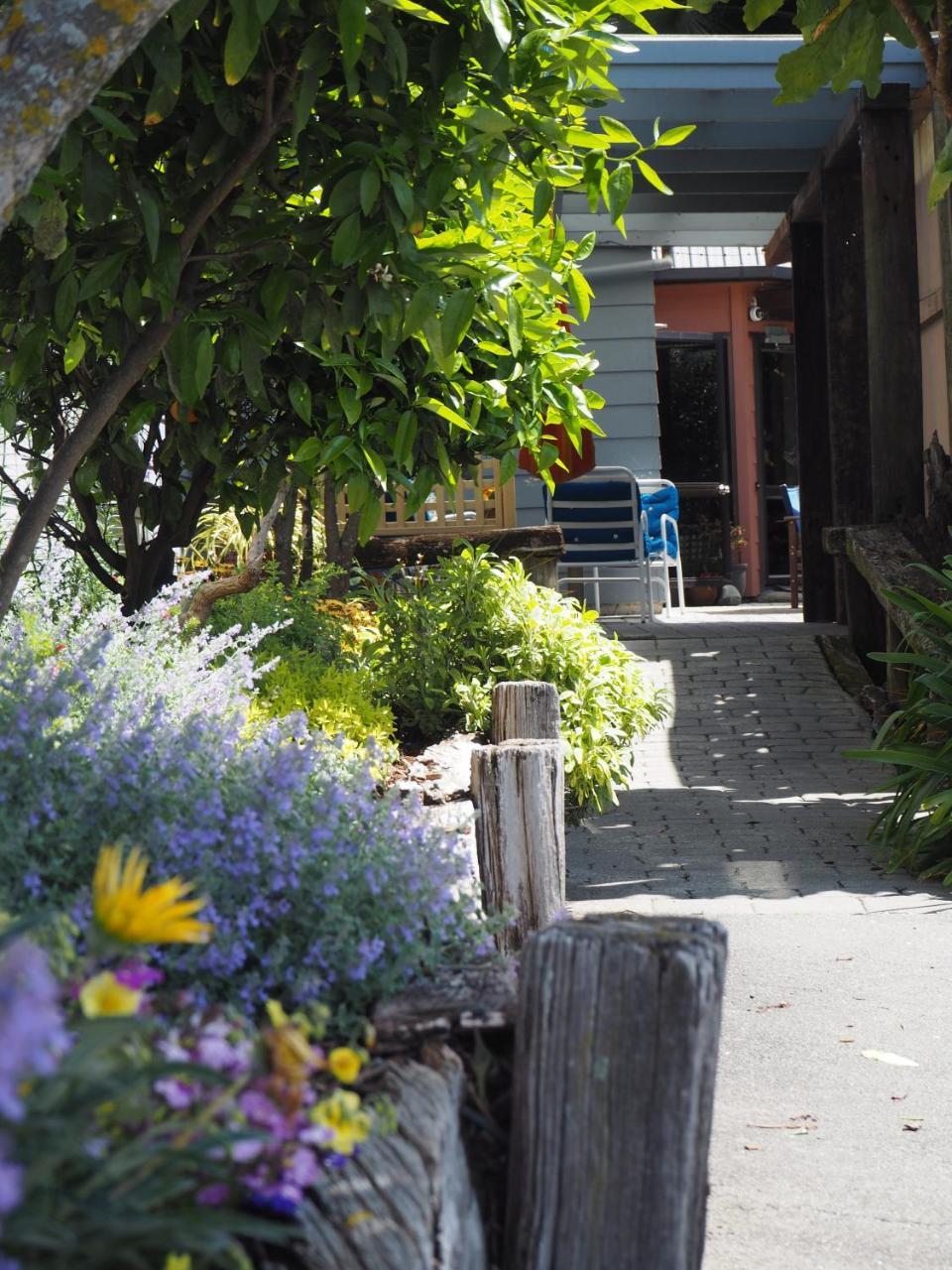 Tasman Bay Backpackers Hostel Nelson Exterior photo